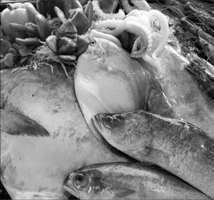 Fishery Freezer Trawler Fish Surimi Shrimp Freezing Technology Frozen fish Fatty (carp, salmon, sardine, tuna) Lean (cod, pollock, perch) Shrimp, Scallops Max. transit & Shelf life (Days) Opt.