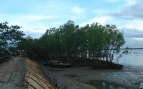 Sundarbans. 4.8.