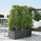 overwintering trio trellis Available as an accessory Incl.