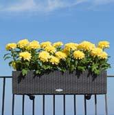 interchangeable plant liner BALCONERA Cottage 80 Chrysanthemum indicum Easy to change plants Practical for overwintering