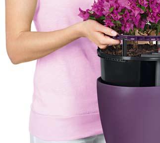 As always, all Color planters are UV resistant, frostproof and equipped with the practical overfl ow function for outdoor use and the proven