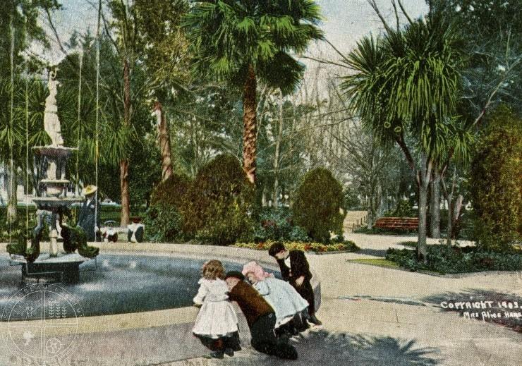 [120] St. James Park in winter. As Mrs. Hare became more adept at photography, she began to choose subjects that would make good postcards. This image of the lush winter landscaping in St.