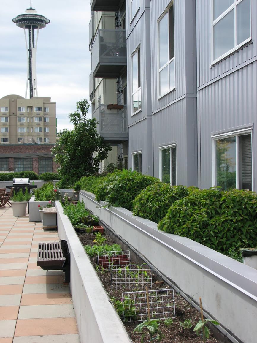 Planters located on the courtyard retain all stormwater falling on the site.