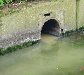 Blockages in the foul sewers, caused for example by a build-up of fat or wet wipes, can also pollute rivers by causing foul wastewater to back up in the sewers and drain into the surface water