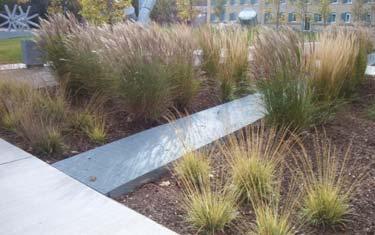 service areas. Ensure landscaping is used in a balanced fashion with unobstructed views to spaces and buildings so as to not create potential hiding areas.