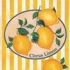 Sunshine 77 Citrus Limon A07