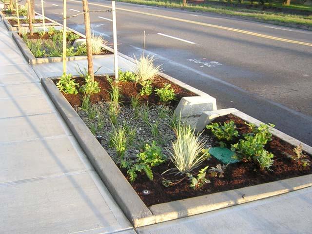 Examples of Green Stormwater Management Tree planters to