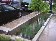 URBAN DESIGN LAND USE RECOMMENDATIONS Green Stormwater Infrastructure (GSI) rain garden.