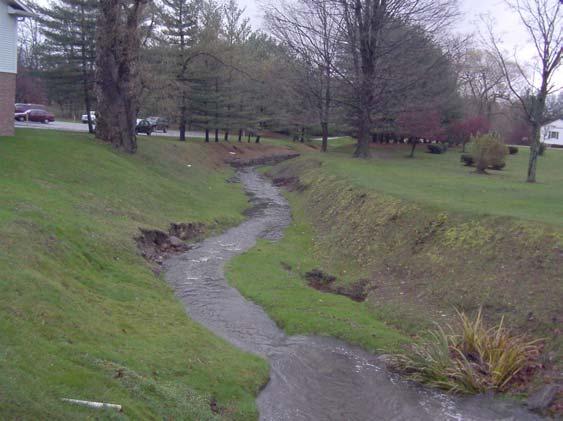 A shallow outflow stream and a nearby channelized tributary (just to the right of where the photo was taken) are in need of shading and stability provided by additional riparian vegetation.