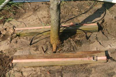 Recent research shows that stakes driven straight into the ground, not at an angle as shown in Figures 12 (left and center), are most secure in the soil.