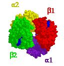 Piemēri nepatentējami objekti Informācijas pasniegšana: Proteīna (NAD sintetāze) kristāla trīsdimensiju struktūra, ko raksturo atomu