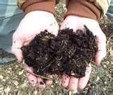 Benefits of Composting Reduces amount entering waste stream (there are aprox.