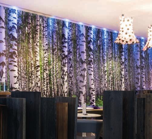 07 SUCCESS STORY near Lübeck saw this increase to nearly 900 square metres. In the third resort Bad Saarow, the wall design concept was kept consistent throughout the whole hotel.