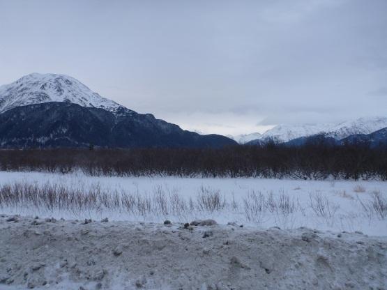 View looking northeast from KOP 1. Shrubby vegetation obscures the view of Turnagain Arm, including in the winter when deciduous shrubs are leafless.