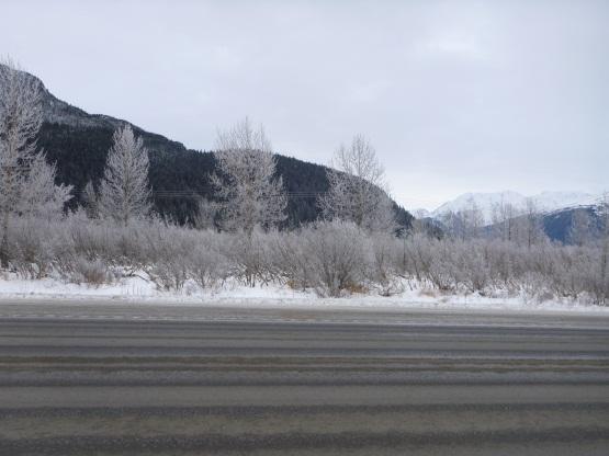 Seward Highway 75 to 90 Figure 29. View to the northeast from KOP 6. Power lines are visible behind the cottonwood trees.