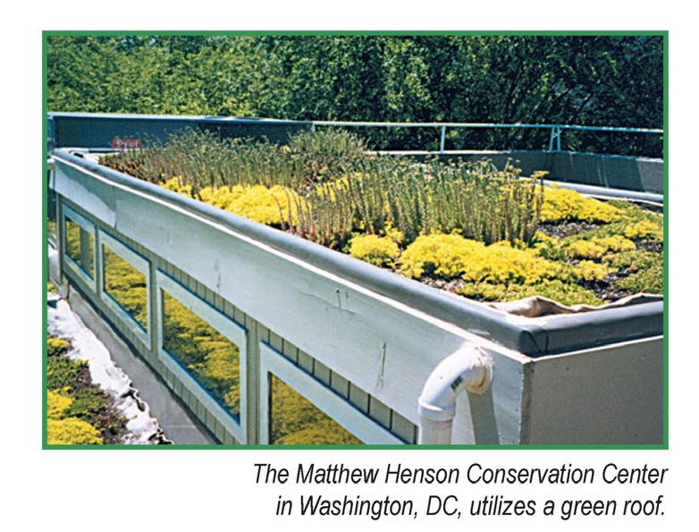 Slide 62 Green roof Figure: USEPA, Design Principles for