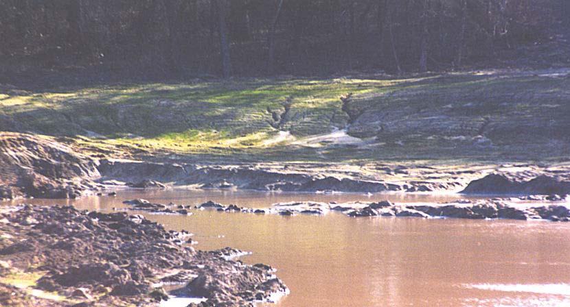 Ponds constructed in sandy soil often develop extensive leaks.