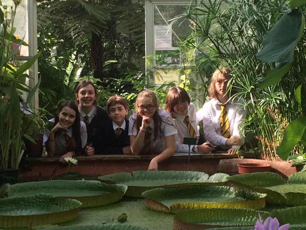 Secret Potters' Report on Garden Project Who are we? We are a team of 6 Year 8's at Fairfield High School: Alfred I'm the only male member of this group, and I love reading. Alice I love ANIMALS!