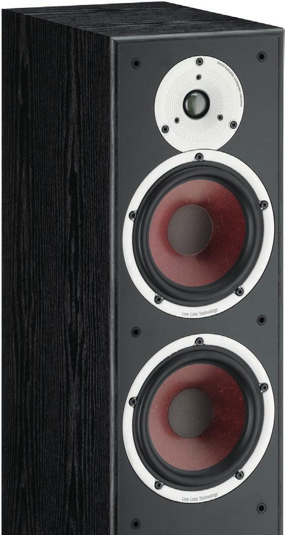 of audio performance and enhancing every element of the speaker.