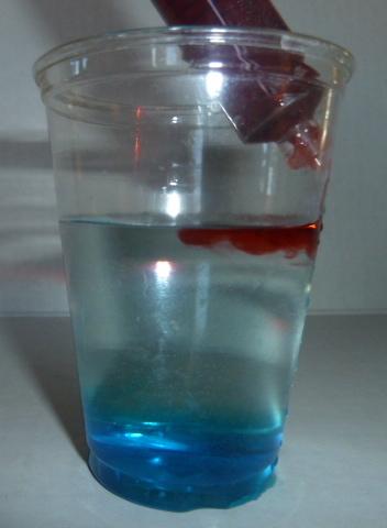 ) Insert the syringe carefully below the level of the water and touch the tip to the inside of the cup. Slowly drip the blue water down the side of the plastic cup.