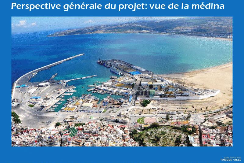 The project of conversion of the port area of