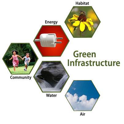 3. Benefits Well designed green areas support biodiversity Green roofs