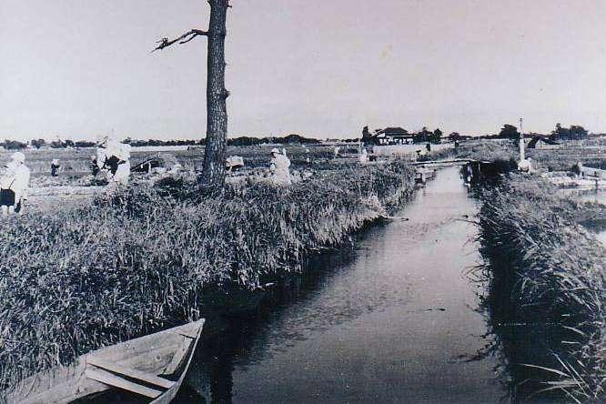 10p 灌漑水路