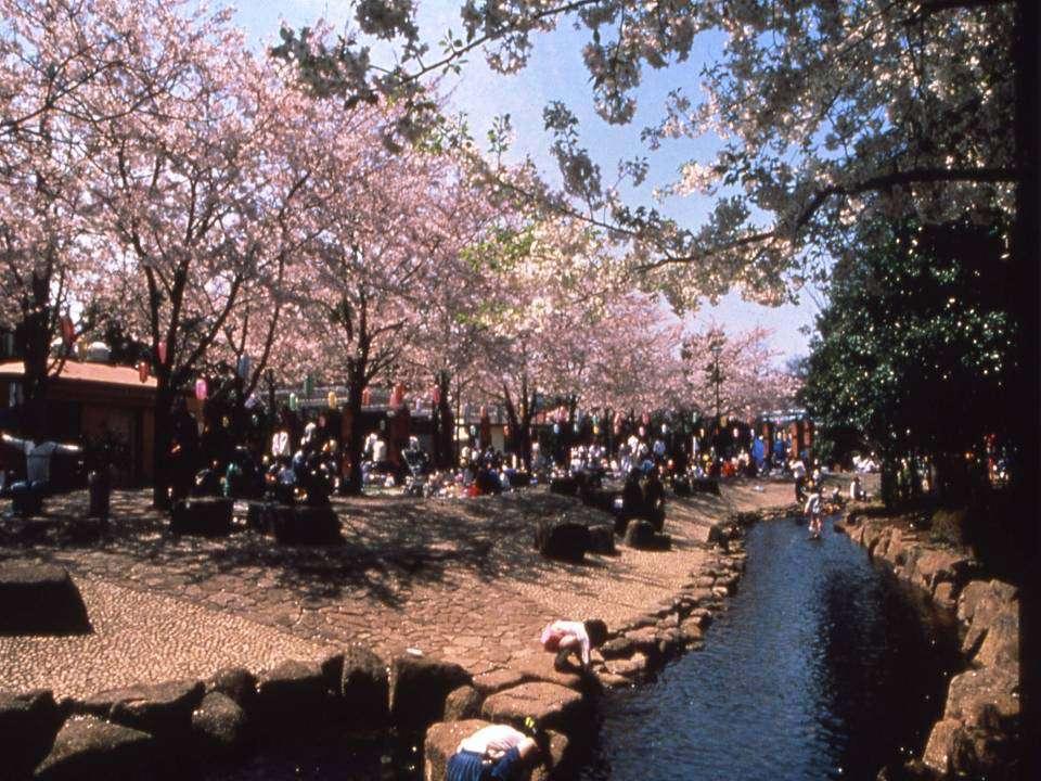 Furukawa Shinsui Park