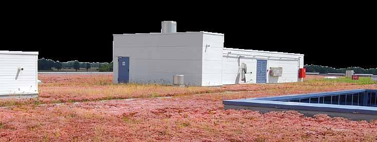 System Build-up Sedum Carpet for Large Industrial Roofs The bigger the roof area, the higher the costs.