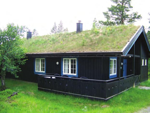 Components of a Green Roof include low-growing, drought-tolerant plants (such as sedum species), an engineered growing medium that is designed to support plant growth, and an alternative roof surface