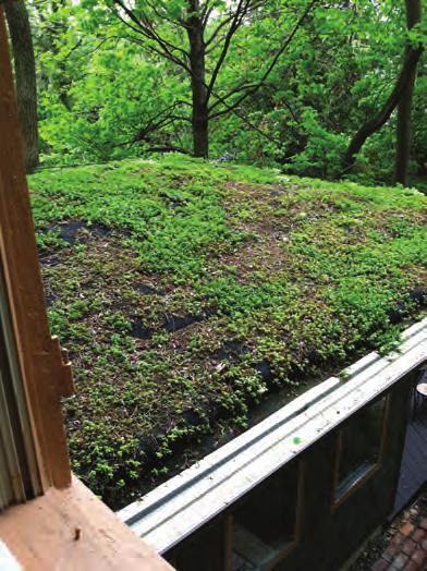 Do:.Consult a structural engineer or architect to verify that building can carry the weight of Green Roof.Plan access to roof for construction and for long-term maintenance.