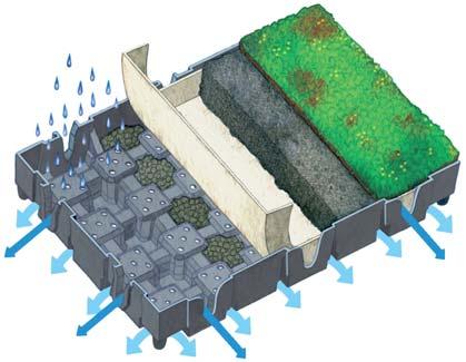 Hydropack System CCW Hydropack Green Roof system offers distinct
