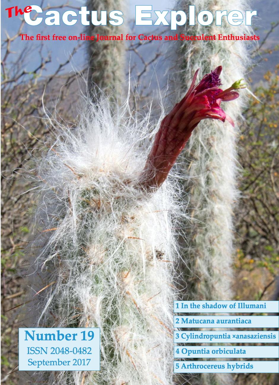 CENTRAL OKLAHOMA CACTUS AND SUCCULENT SOCIETY Here is another issue of The Cactus Explorer, a great online free journal.