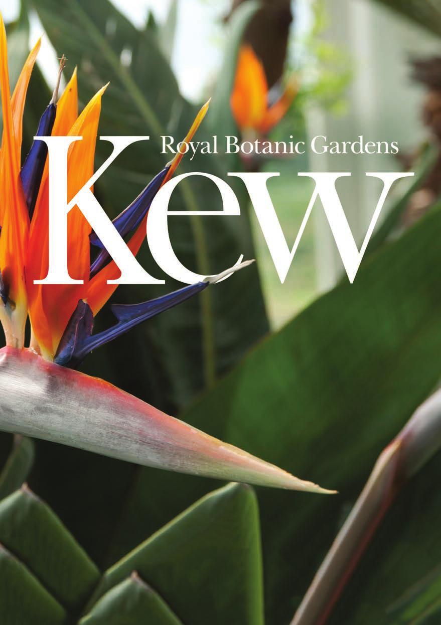 Patrons Supporting Kew in solving the