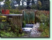 Wetlands are among the most effective stormwater practices in terms of pollutant removal, and also offer the advantage of adding aesthetic value to a property.