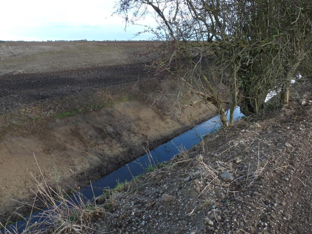 Restore: RS2 Blue Lanes of Romney Marsh (Ditch & Grazing Marsh Project)) 90% of the ditches on the Marsh are privately managed; remainder by Romney Marsh Internal Drainage Board and Environment