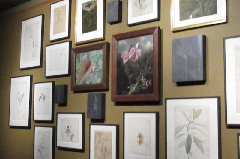 In a separate gallery, paintings of lush flora and detailed botanical drawings cover an entire wall, while across from them a single solemn portrait of an indigenous man named Popurito, painted by