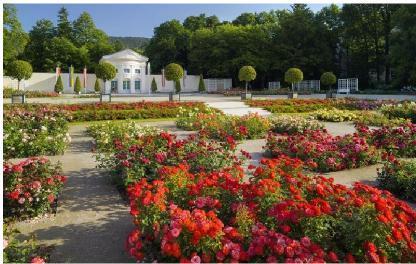 The Garden of Prince Eugene of Savoy (50 km) of Schloss Hof - a two-storey palace, with the so-called Paradise Garden famous for broderie plantations, artistic sculptures, historical orangeries and