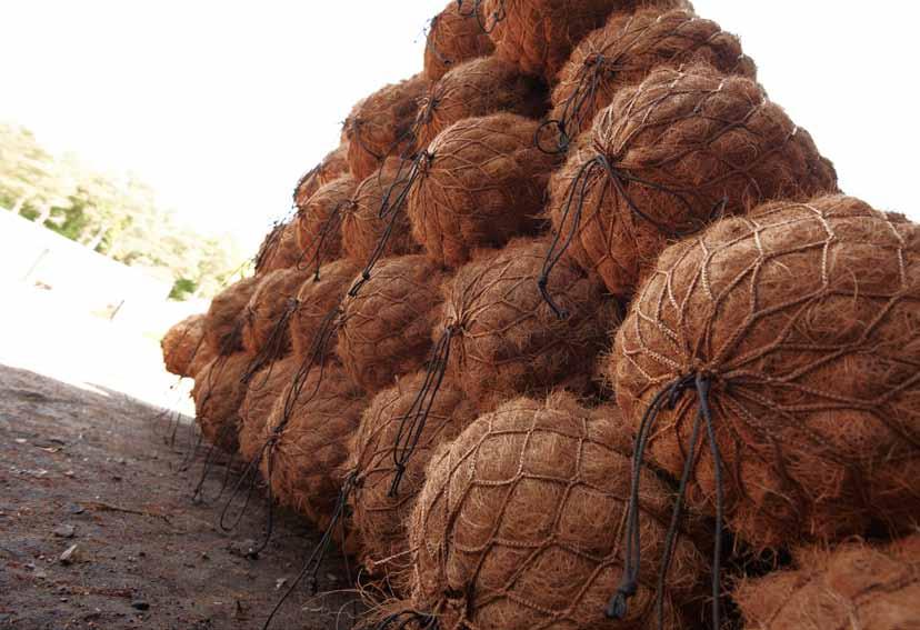 Coir Rolls are made of coir fibre - a sustainable waste product Salix produce high quality Coir Rolls with