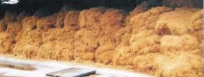 Coir fibre Fibre processed from