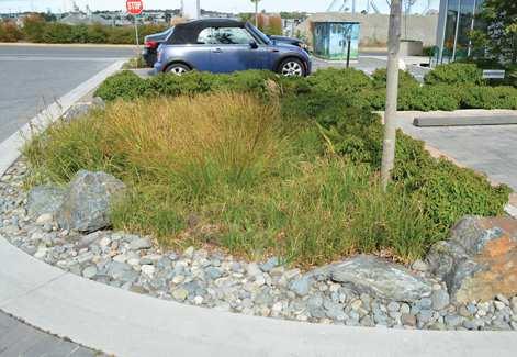 Victoria Stormwater user fee roll out in 2016 Rainwater rewards program Online tool City of Victoria http://www.