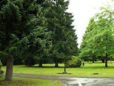 The Maple Ridge Cemetery is characterized by the maturing maple trees at the main cemetery, and an enclosed feeling created with evergreen plantings around the perimeter of the site.