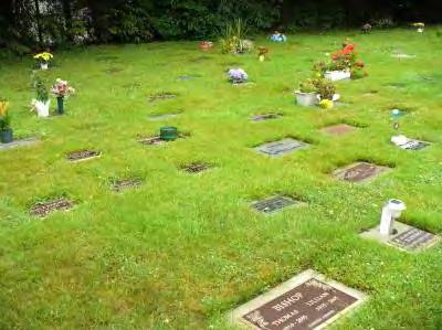 Key findings of the assessment of cremated remains interment options and services include: Cremation lots are very closely laid out with no amenities, communal commemoration, walkways or landscaped