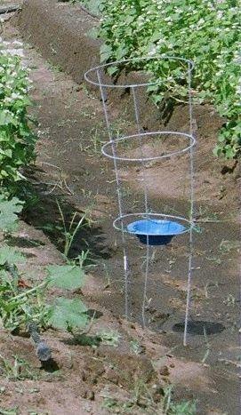 intensive to deploy Rain/irrigation can cause spillage and dilution http://www.caes.gov.