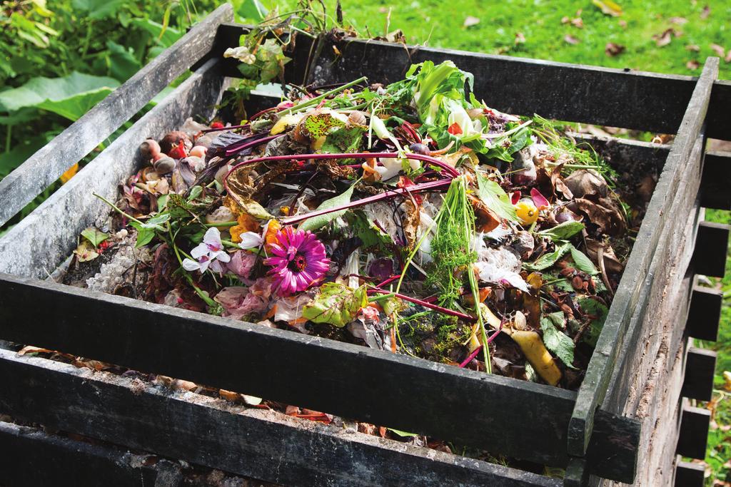 Backyard Composting Guide H-110 Revised by John Allen1 Introduction Yard waste makes up 20 30 percent of the solid waste of most municipalities throughout the United States, while food waste makes up