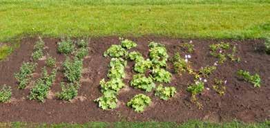 customer. Discover our wide range of soil improvers, fertilisers, potting soils.