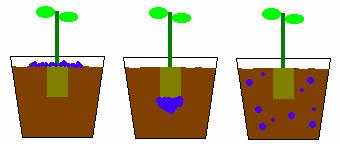 Fertilizer placement Container growers use 1 of 3