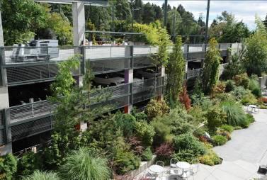 campus. Vines, hanging plants and other plantings on vertical surfaces of elevated structures to conceal parking.