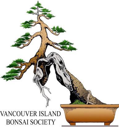 The Vancouver Island Bonsai Society September 2013 Next Society meeting: Monday, September 23, 2013 Show & Tell: