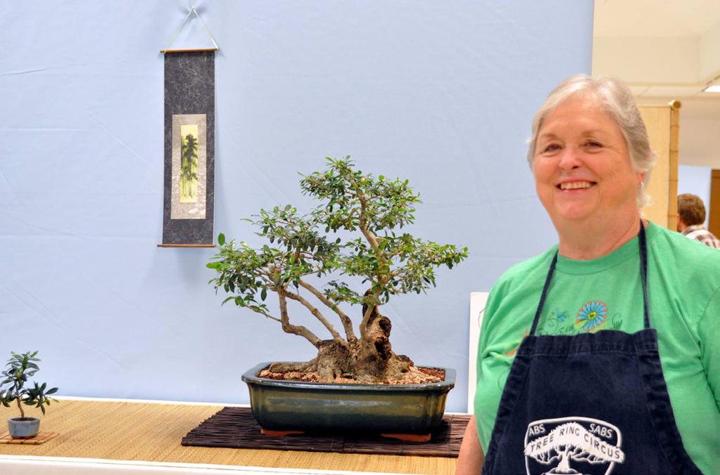 The best way to fertilize bonsai is by using fertilizer cakes.